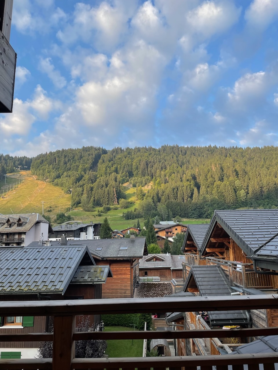 2025-08-17_07-29-27_View from the chalet.jpeg